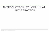 INTRODUCTION TO CELLULAR RESPIRATION Copyright © 2009 Pearson Education, Inc.