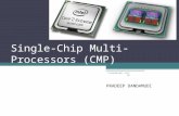 Single-Chip Multi-Processors (CMP) PRADEEP DANDAMUDI 1 ELEC6200-001, Fall 08.