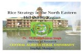 Rice Strategy in the North Eastern Hill (NEH) Region Dr. M. Rohinikumar Singh Director of Research CENTRAL AGRICULTURAL UNIVERSITY Imphal, Manipur.
