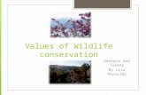 Values of Wildlife conservation Georgia and Turkey By Lisa Reynolds.