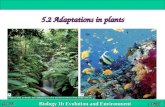 Biology 1b Evolution and Environment GCSE CORE 5.2 Adaptations in plants.