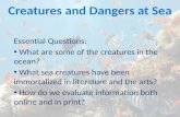 Creatures and Dangers at Sea Essential Questions: What are some of the creatures in the ocean? What are some of the creatures in the ocean? What sea creatures.