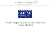 Patent Attorneys Attorneys-at-Law Patent Mapping and Patent Families – Case Studies