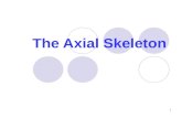 The Axial Skeleton 1. Axial skeleton  Skull  Vertebral column  Thoracic cage Appendicular skeleton  Pectoral and pelvic girdles  Upper and lower.