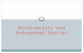 Biodiversity and Endangered Species. Food Chains and Food Webs Food chains are the feeding relationships that link organisms together. Generally, producers.