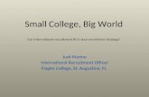 Small College, Big World Can international recruitment fit in your enrollment strategy? Judi Marino International Recruitment Officer Flagler College,