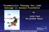 Thrombolytic Therapy for Limb Salvage in Severe Frostbite Or Cold Feet Re-warmed Heart George R. Edmonson MD Interventional Radiologist St. Paul Radiology.