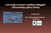 Case Study on Eastern Caribbean Flyingfish (Hirundichthys affinis) Fishery Completed By The Caribbean Regional Fisheries Mechanism.