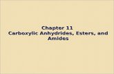 Chapter 11 Carboxylic Anhydrides, Esters, and Amides.
