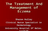 The Treatment And Management of Eczema Sharon Hulley Clinical Nurse Specialist in Dermatology University Hospital Of Wales, Cardiff.