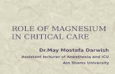 ROLE OF MAGNESIUM IN CRITICAL CARE Dr.May Mostafa Darwish Assistant lecturer of Anesthesia and ICU Ain Shams University.
