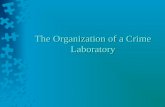 The Organization of a Crime Laboratory. Growth There are approximately 320 crime labs in the US; more than 3 times the number than in 1966.