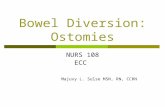 Bowel Diversion: Ostomies NURS 108 ECC Majuvy L. Sulse MSN, RN, CCRN.
