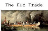 The Fur Trade. Unintended Consequences History is full of unintended consequences. – In 1611, Henry Hudson sought a passage to Asia through the Arctic.