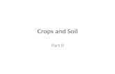 Crops and Soil Part II. Enduring Understanding Students will understand that Agricultural production has kept pace with population increases primarily.