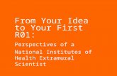 From Your Idea to Your First R01: Perspectives of a National Institutes of Health Extramural Scientist.