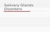Salivary Glands Disorders. Anatomical Considerations  Two submandibular  Two Parotid  Two sublingual  > 400 minor salivary glands.