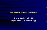 Neuromuscular Disease Stacy Rudnicki, MD Department of Neurology.