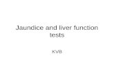 Jaundice and liver function tests KVB. Normal Liver: The liver is the largest internal organ,measuring on an average 1500 g. The liver has a dual blood.