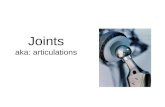 Joints aka: articulations. Classification of Joints  Functional classification (arthr = joints) (Focuses on amount of movement)  Synarthroses (immovable.