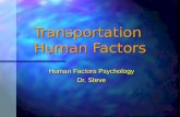 Transportation Human Factors Human Factors Psychology Dr. Steve.