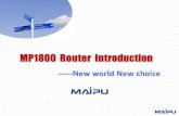 Small router for SOHO and SMB, Smart CPE Aggregation router for Center, Small PE for SP Core router for SP Performance and aggregation capability MP800.