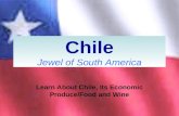 Chile Jewel of South America Learn About Chile, Its Economic Produce/Food and Wine.