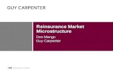 Reinsurance Market Microstructure Don Mango Guy Carpenter.