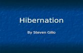 Hibernation By Steven Gilio. What is Hibernation? Hibernation is the way that some animals adapt to the climate and land around them during winter. Hibernation.