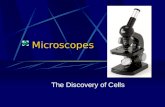 Microscopes The Discovery of Cells Quiz Number paper from 1-5 Identify the following pictures.