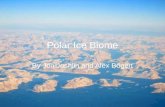 Polar Ice Biome By Jon Joshlin and Alex Bogert. Location of Polar Ice Biome 8/18/20152.