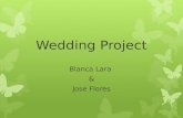 Wedding Project Blanca Lara & Jose Flores. Wedding dress/Veil/Shoes Wedding veil $26.99 Wedding dress $152.19 Wedding shoes $73.09.