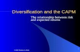 ©1999 Thomas A. Rietz 1 Diversification and the CAPM The relationship between risk and expected returns.
