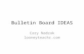 Bulletin Board IDEAS Cary Nadzak looneyteachr.com.