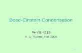 1 Bose-Einstein Condensation PHYS 4315 R. S. Rubins, Fall 2009.