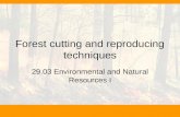 Forest cutting and reproducing techniques 29.03 Environmental and Natural Resources I.