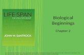 Biological Beginnings Chapter 2 © 2013 by McGraw-Hill Education. This is proprietary material solely for authorized instructor use. Not authorized for.