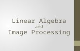 Linear Algebra and Image Processing. Topics Vectors and Matrices Vector Spaces Eigenvalues and Eigenvectors Digital Images - Basic Concepts Histograms.