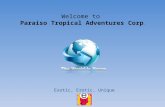 Welcome to Paraiso Tropical Adventures Corp. Exotic, Erotic, Unique.