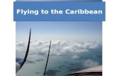 Flying to the Flying to the Caribbean. Document Requirements Airworthiness Registration Standardized Validation of a Special Airworthiness Certificate.