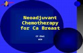 Neoadjuvant Chemotherapy for Ca Breast CY Choi UCH.