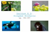 Section 6.3: Kingdom Animalia pg. 182-197. Part 1: Invertebrates.