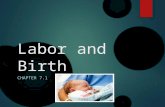 Labor and Birth CHAPTER 7.1. About Time  For 9 months, the unborn child has been developing in the womb. Now the baby is ready to make an exit. Prelabor.