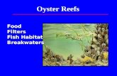 Oyster Reefs FoodFilters Fish Habitat Breakwaters.