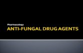 Pharmacology. Fungi are a very large and diverse group of microorganisms that compromise both yeast and molds. Yeast are single-celled fungi that reproduce.