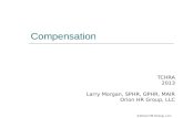 ©Orion HR Group, LLC Compensation TCHRA 2013 Larry Morgan, SPHR, GPHR, MAIR Orion HR Group, LLC.
