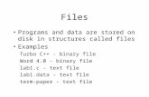 Files Programs and data are stored on disk in structures called files Examples Turbo C++ - binary file Word 4.0 - binary file lab1.c - text file lab1.data.