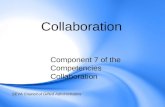 Collaboration Component 7 of the Competencies Collaboration SEVA Council of Gifted Administrators.