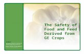 The Safety of Food and Feed Derived from GE Crops.
