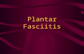 Plantar Fasciitis. Objectives Review the patho-physiology of PF Review the underlying causes Review the numerous treatment methods Describe a rehabilitation.